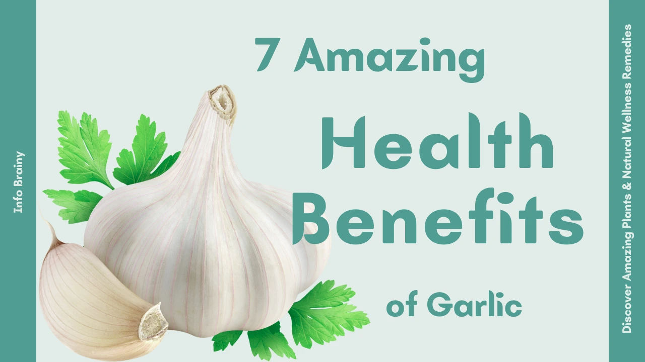 7 Amazing Health Benefits of Garlic You Should Know
