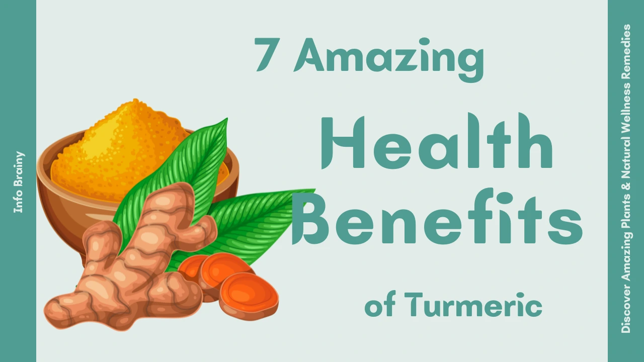7 Amazing Health Benefits of Turmeric You Should Know
