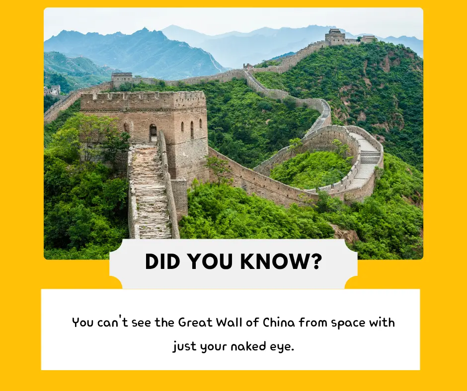 5 Awesome Facts That Will Surprise You!