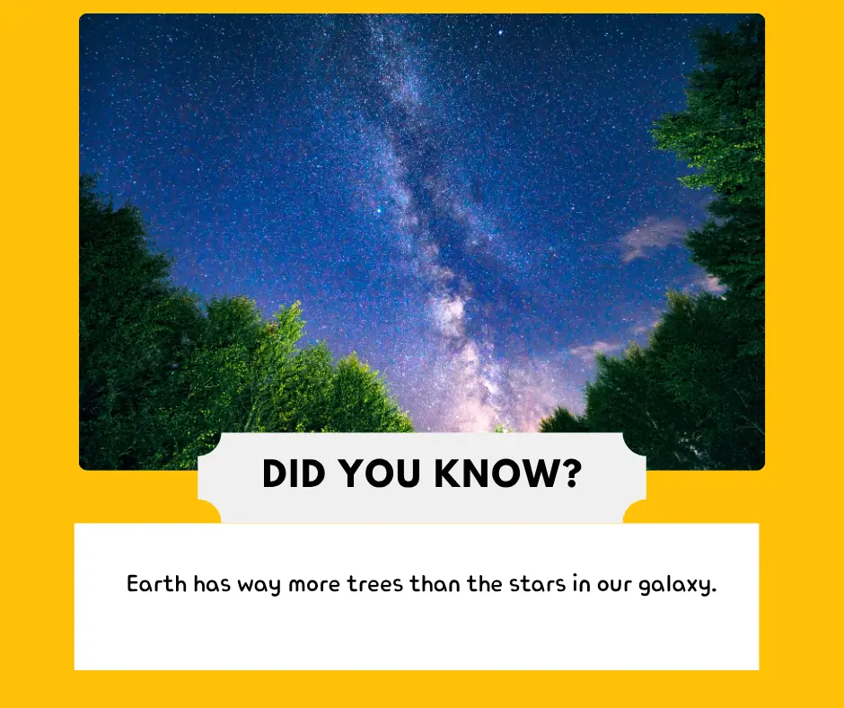5 Awesome Facts That Will Surprise You!