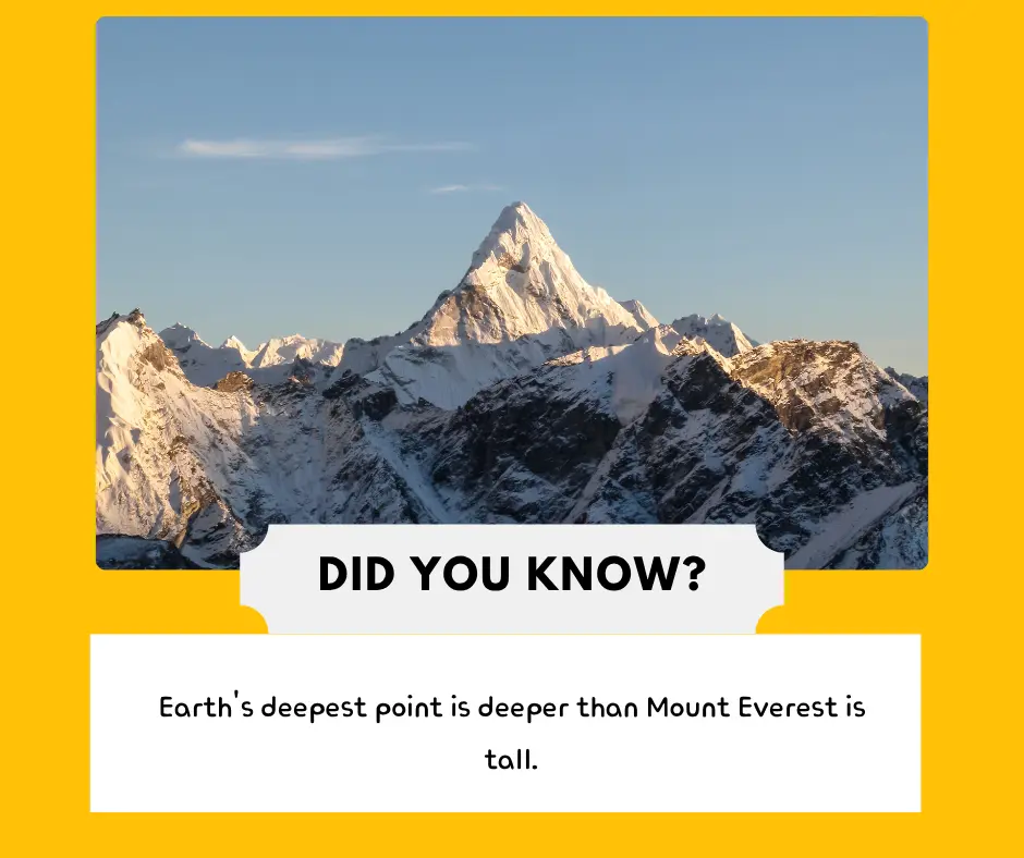 5 Awesome Facts That Will Surprise You!